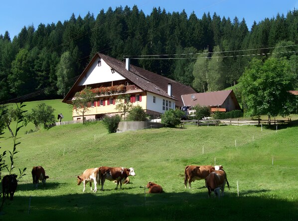 Extérieur