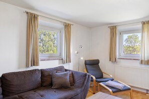 TV, fireplace, DVD player, table tennis