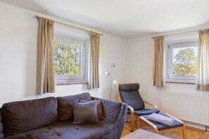 TV, fireplace, DVD player, ping pong