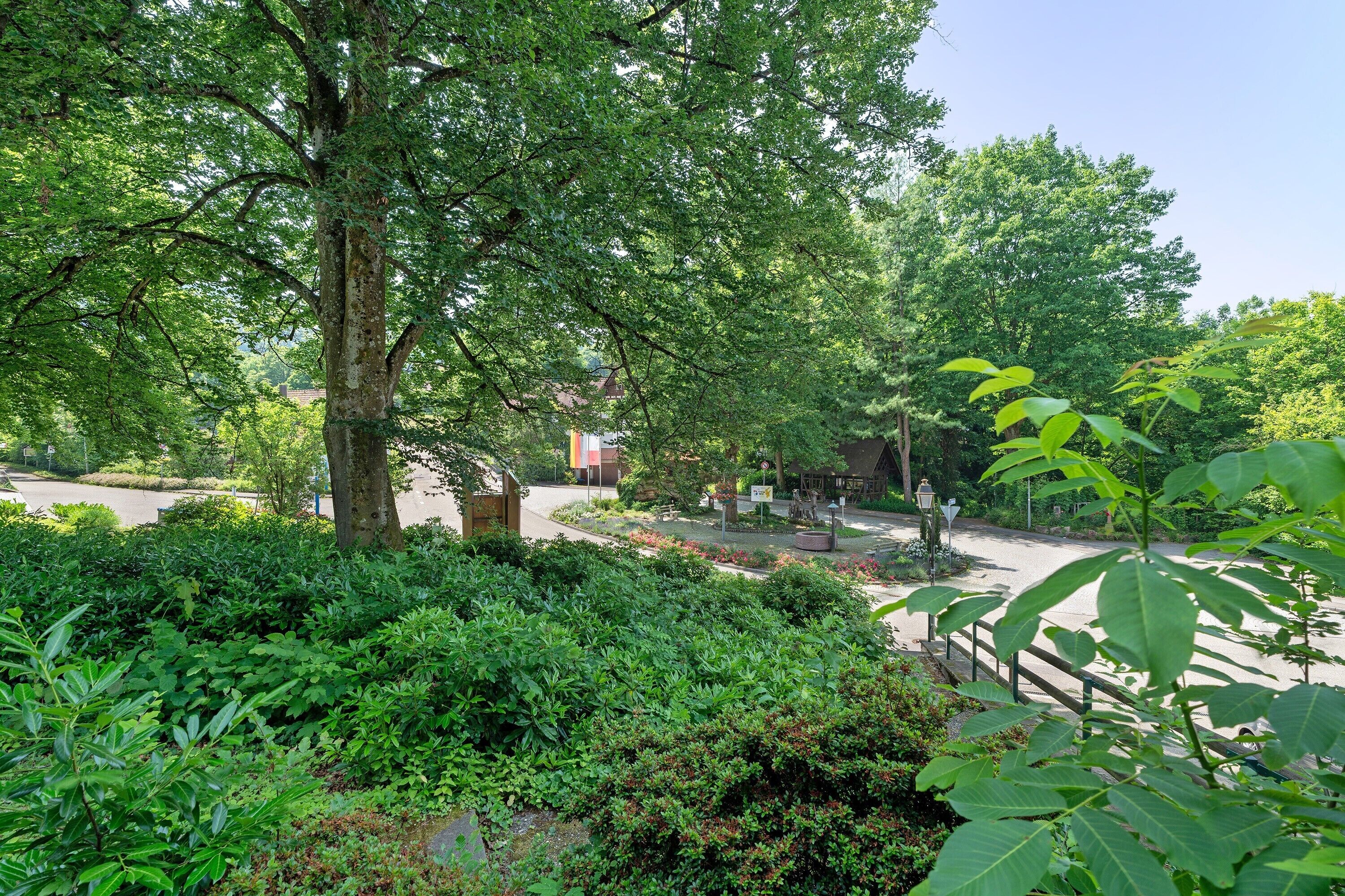 Ein üppiger Garten mit verschiedenen Bäumen und Sträuchern, einem gepflasterten Weg und einem Gebäude im Hintergrund.