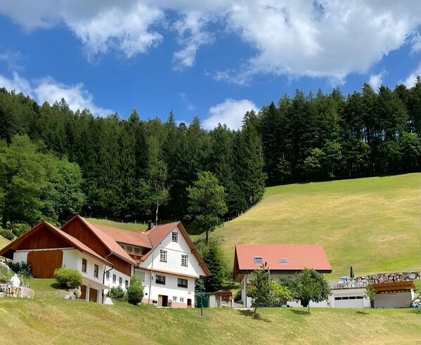 Exterior - Holiday Apartment 'Bergblick' with Mountain View, Shared Terrace and Wi-Fi (Bad Peterstal-Griesbach)