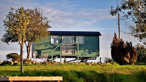 A green houseboat with a small deck and a window, surrounded by trees and a grassy area. - Shepherd’s Hut on Llŷn Peninsula by Private Lake (Pwllheli)