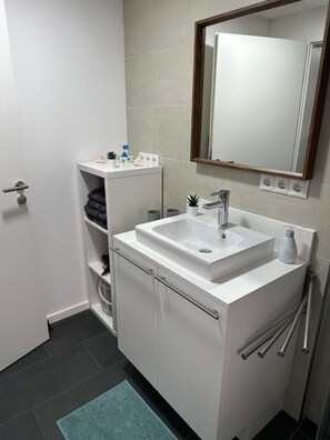 Shower, hair dryer, towels