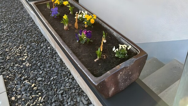 Un edificio moderno con una jardinera llena de diversas flores.