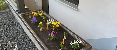 DĂ©tail de lâextĂ©rieur