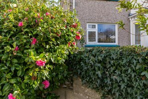 Detalle del exterior