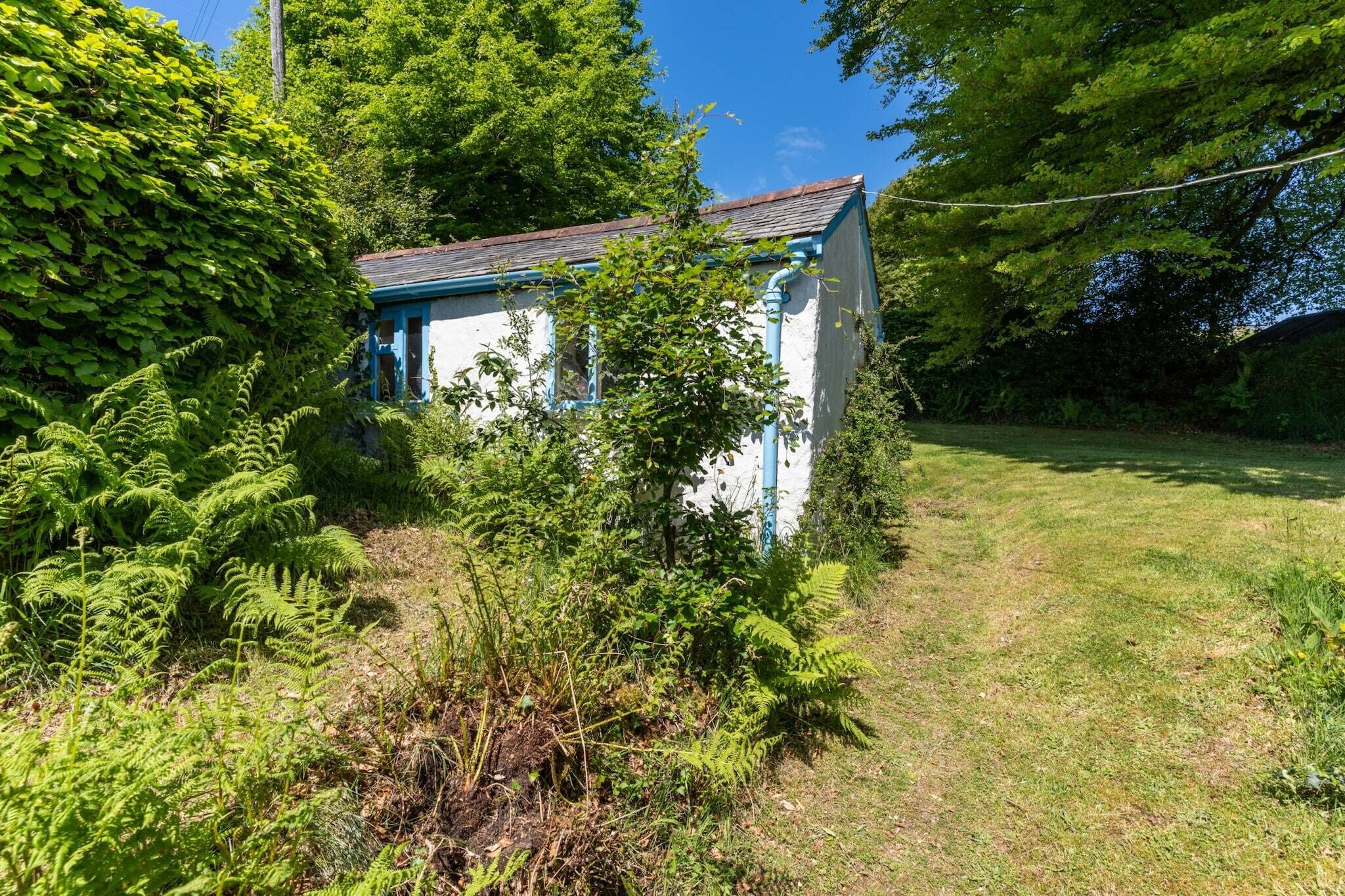 A small, rustic cabin with a blue exterior and a sloped roof, surrounded by dense greenery and ferns.