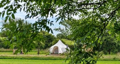 Bell Tent in Devon with Countryside Views