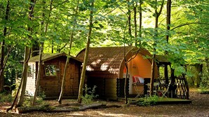Ein rustikales Holzhäuschen, umgeben von dichtem Wald.
