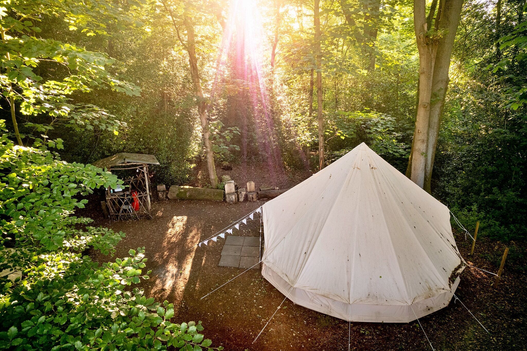 A tent set up in a forested area with a small structure nearby.