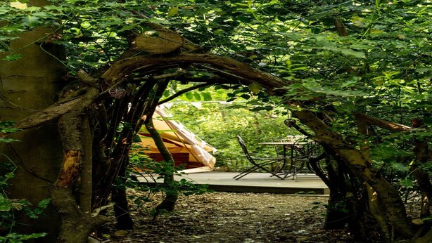 Un espace extérieur rustique doté d  ’une structure en bois, peut-être un belvédère, entouré d’une végétation luxuriante et bordé d’un sentier de terre.