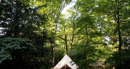 Glamping en Woolton Hill cerca de Highclere