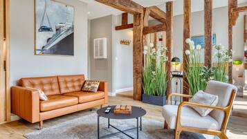 Televisión y libros