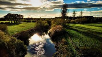 Ein Fluss schlängelt sich durch eine üppige, grüne Landschaft mit Bäumen und offenen Feldern.