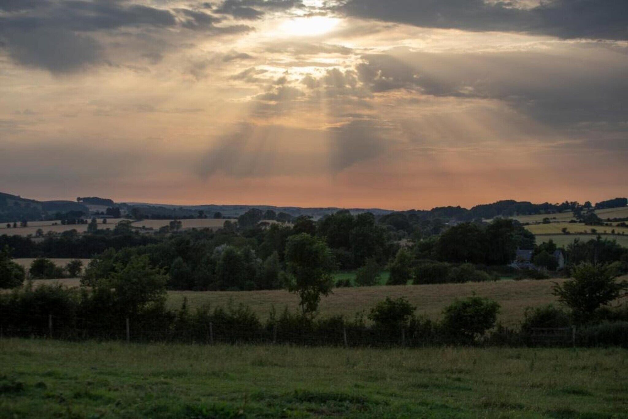 Un paisaje rural con campos, árboles y una colina distante.