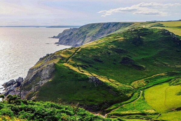 Un paisaje costero con colinas verdes y una vista despejada del mar.