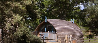 Cabin by Langley Dam with Lake Views