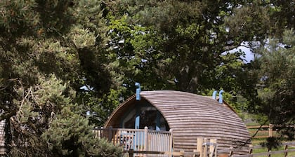 Cabin by Langley Dam with Lake Views