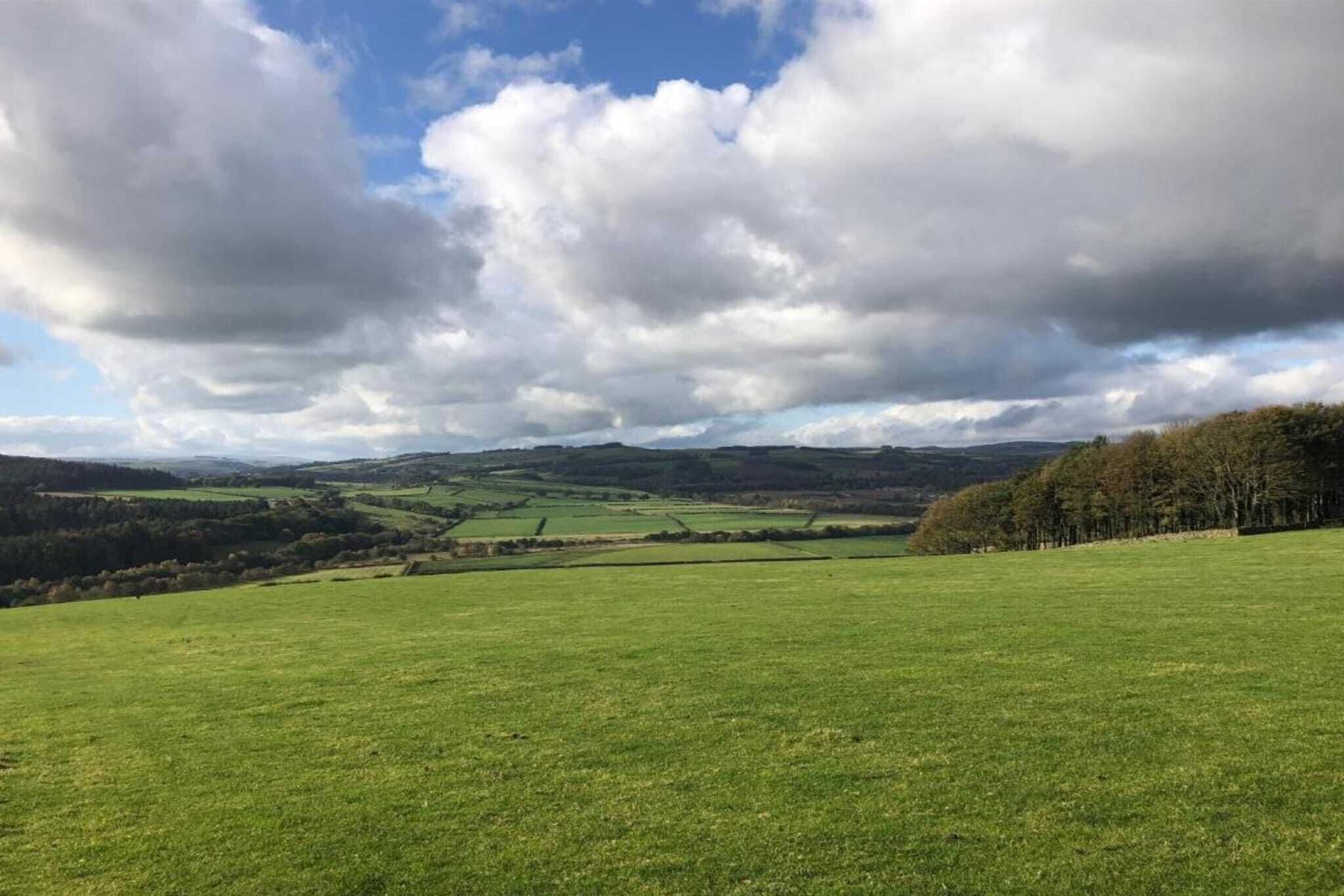 A wide, open field with a distant view of rolling hills and a partly cloudy sky.