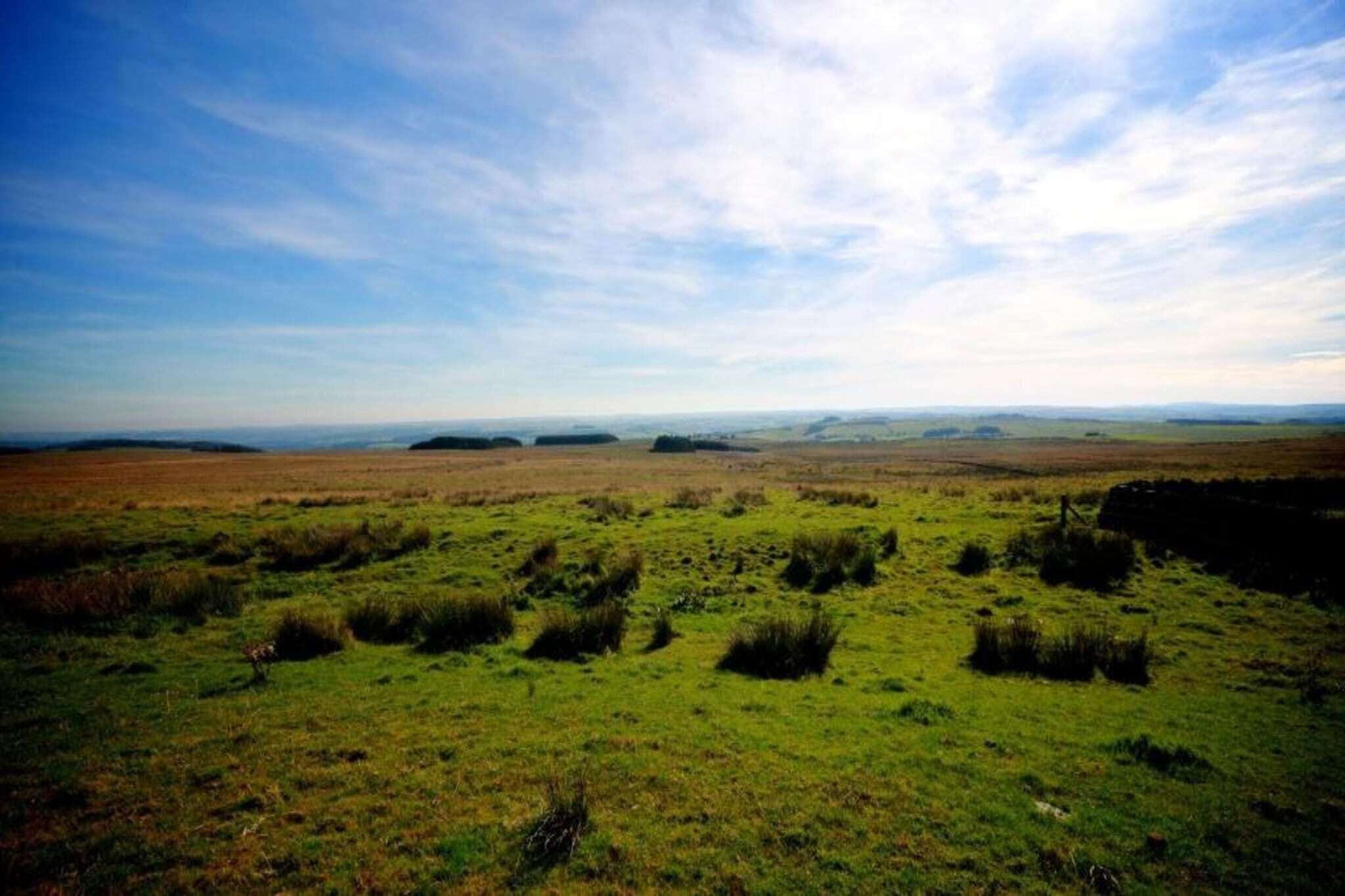 Eine weitläufige, offene Landschaft mit sanften Hügeln in der Ferne unter blauem Himmel.