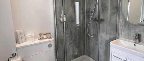 A modern bathroom with a glass-enclosed shower, a toilet, and a sink with a mirror above it.