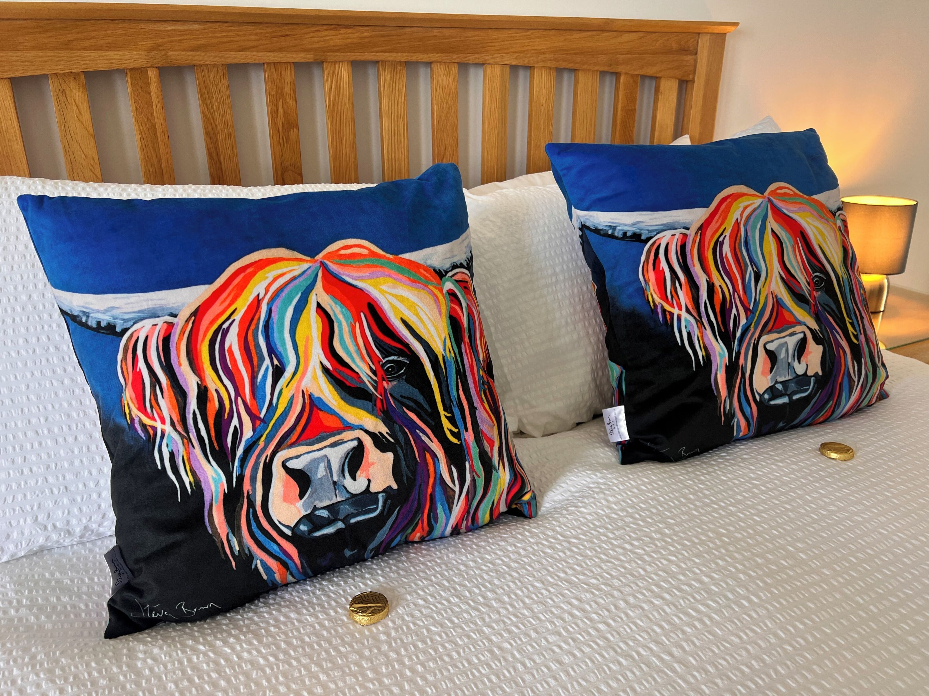 A bed with two colorful pillows, a wooden headboard, and a lamp.