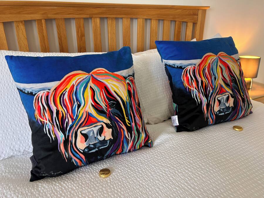 A bed with two colorful pillows, a wooden headboard, and a lamp.