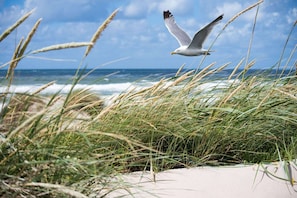 In Strandnähe