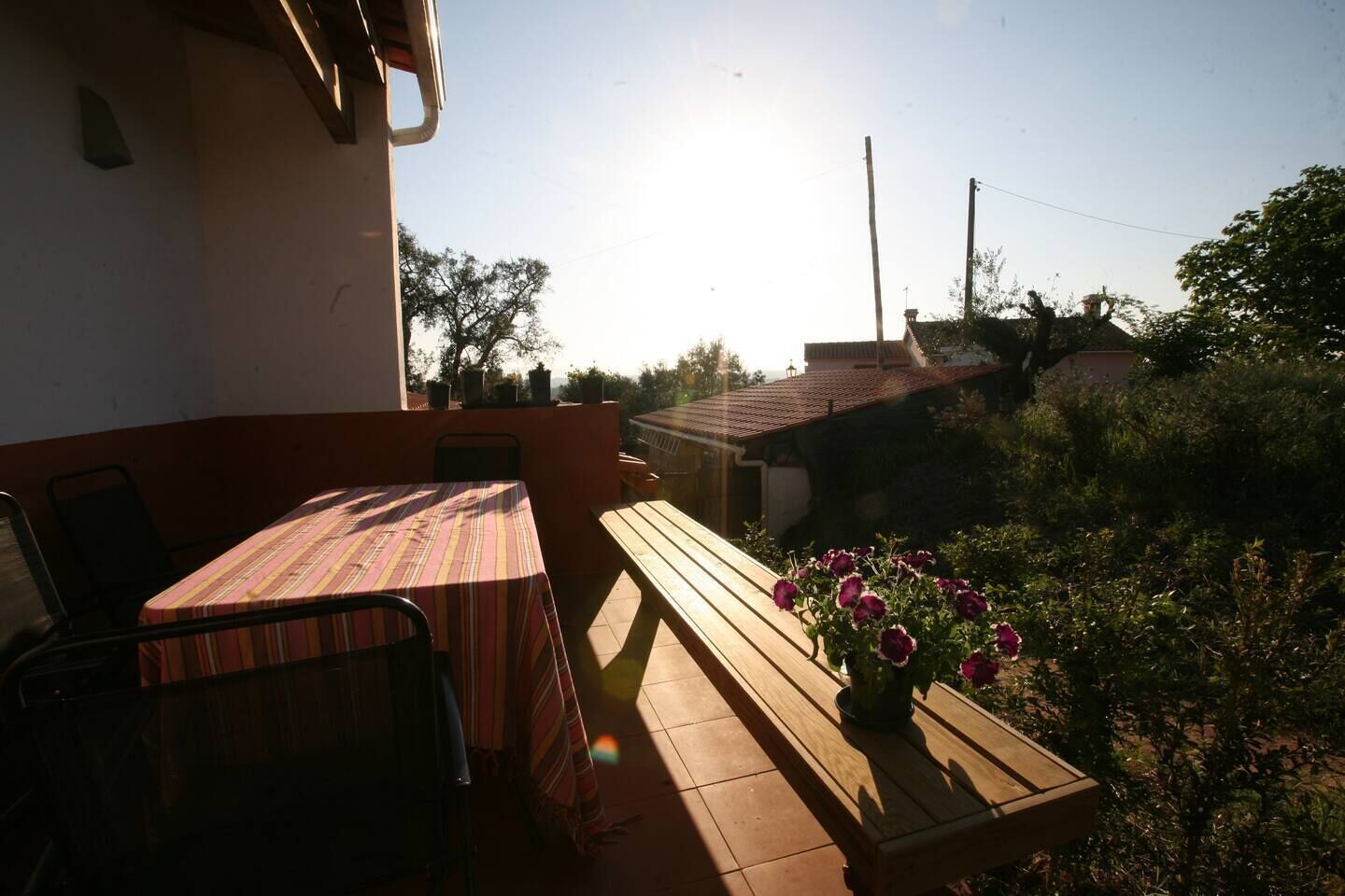 Une terrasse extérieure avec une table et des chaises, un pot de fleurs et une vue sur le quartier environnant.