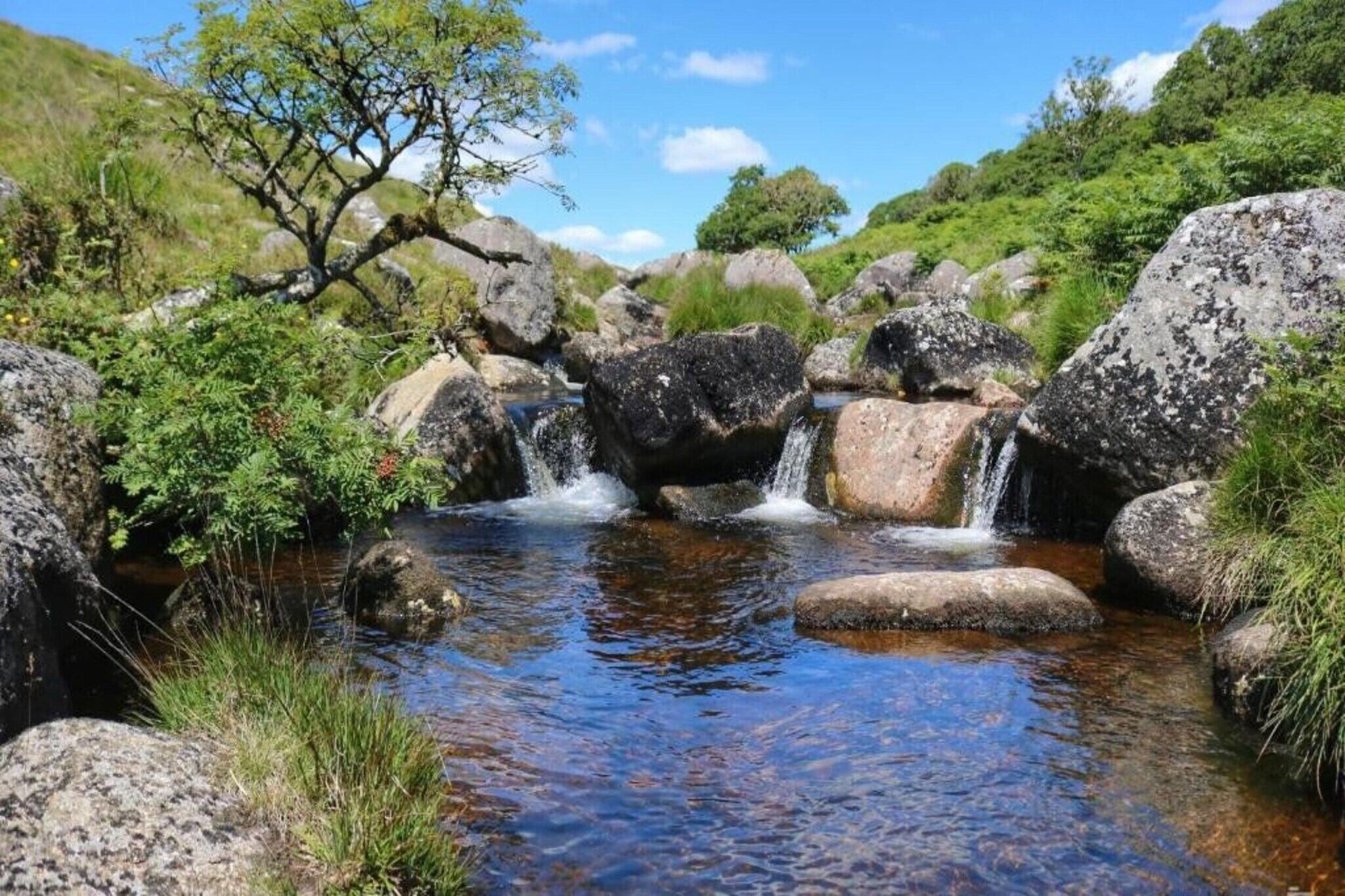 Un cours d’eau naturel, bordé de rochers et de végétation.