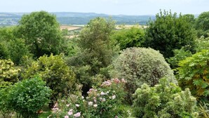 Een weelderige tuin met diverse bomen en struiken, een helder uitzicht over het omliggende landschap en een verre horizon.