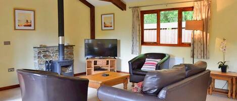 TV connectée, cheminée