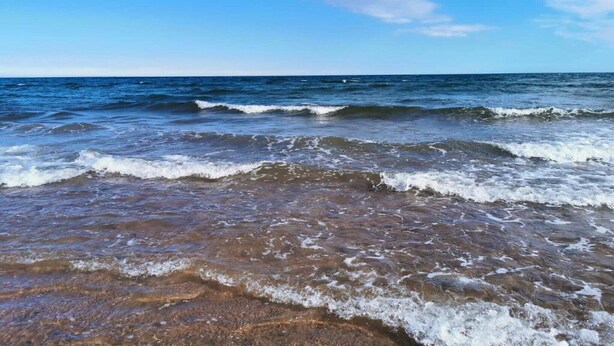 Ranta