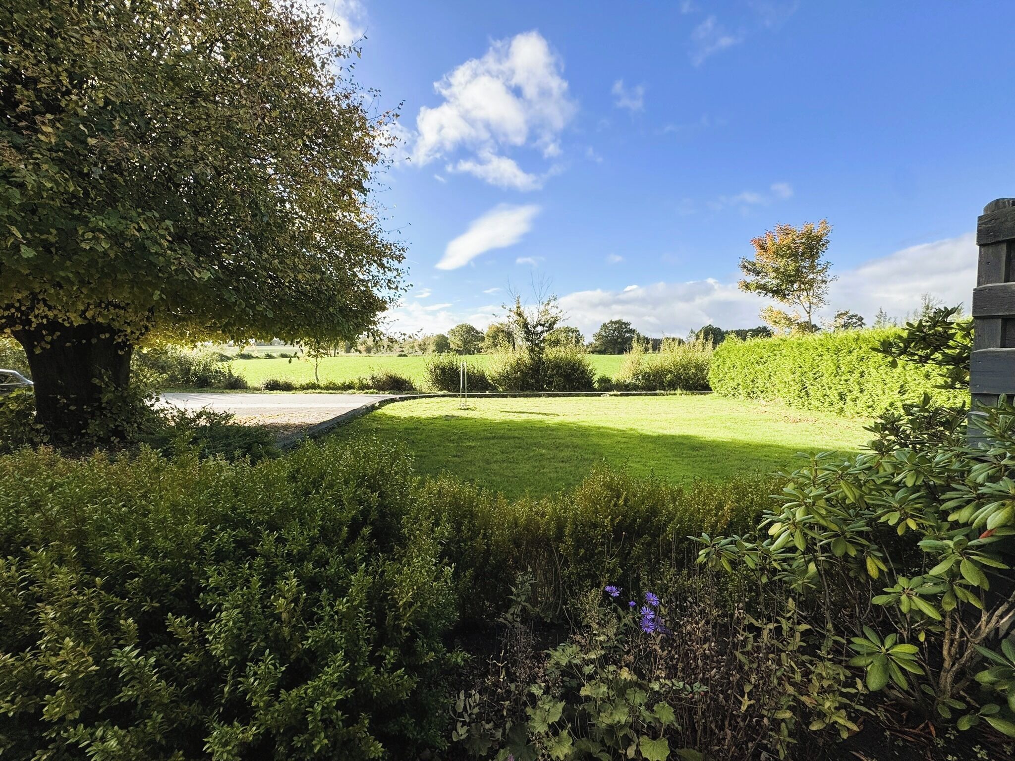 Ausblick aus dem Wohnzimmer - unverbaut über die Felder