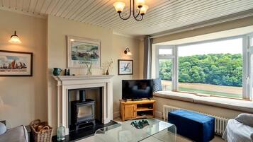 Smart TV, fireplace, books