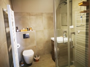 Shower, hair dryer, toilet paper