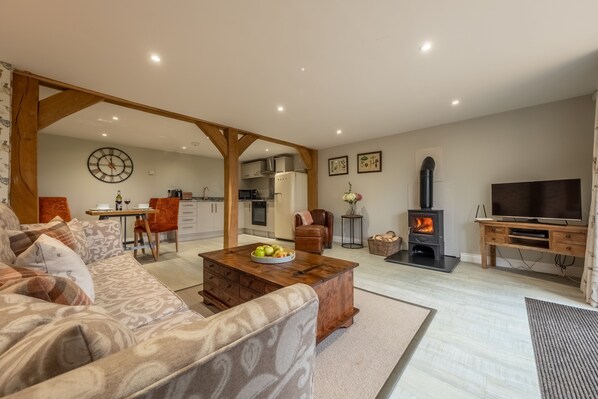 Televisor i llar de foc 