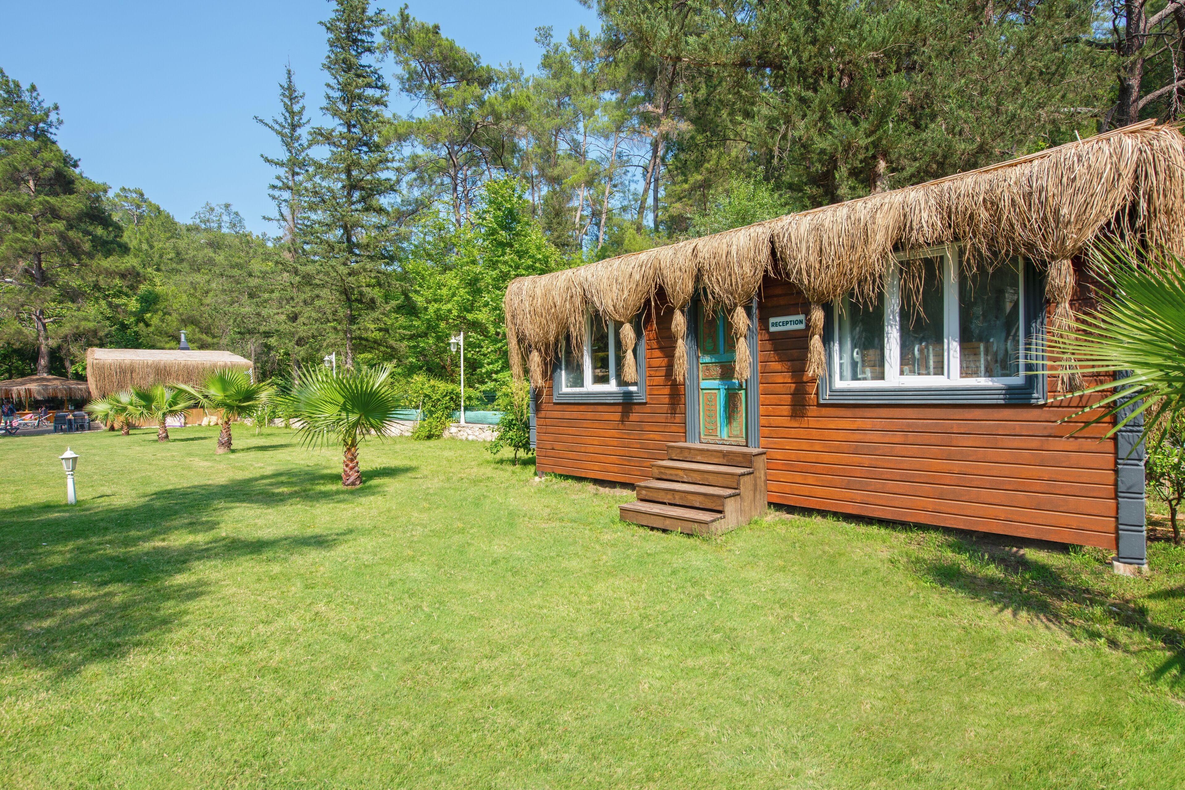 A wooden cabin with a thatched roof, surrounded by lush greenery and trees.