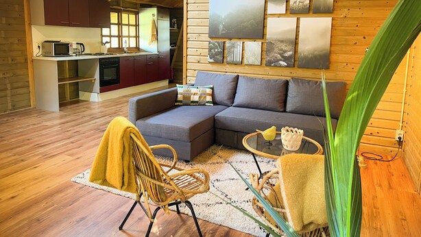 Interior acogedor de una cabaña con comedor, cocina y sala de estar que incluye un sofá y una silla.