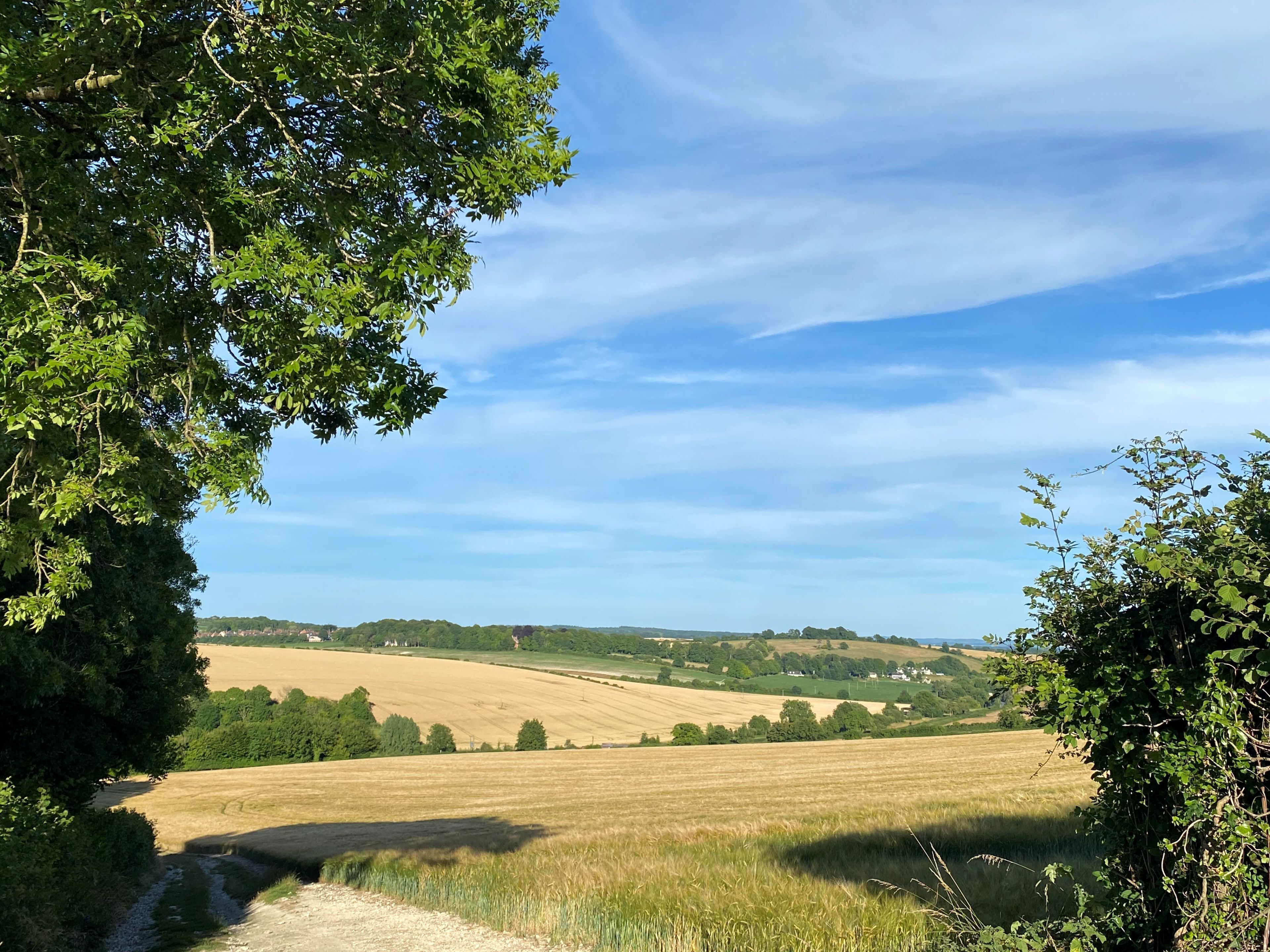 A rural landscape with fields, trees, and a clear sky.