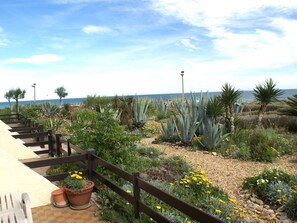 Un jardín con diversas plantas y una valla de madera.