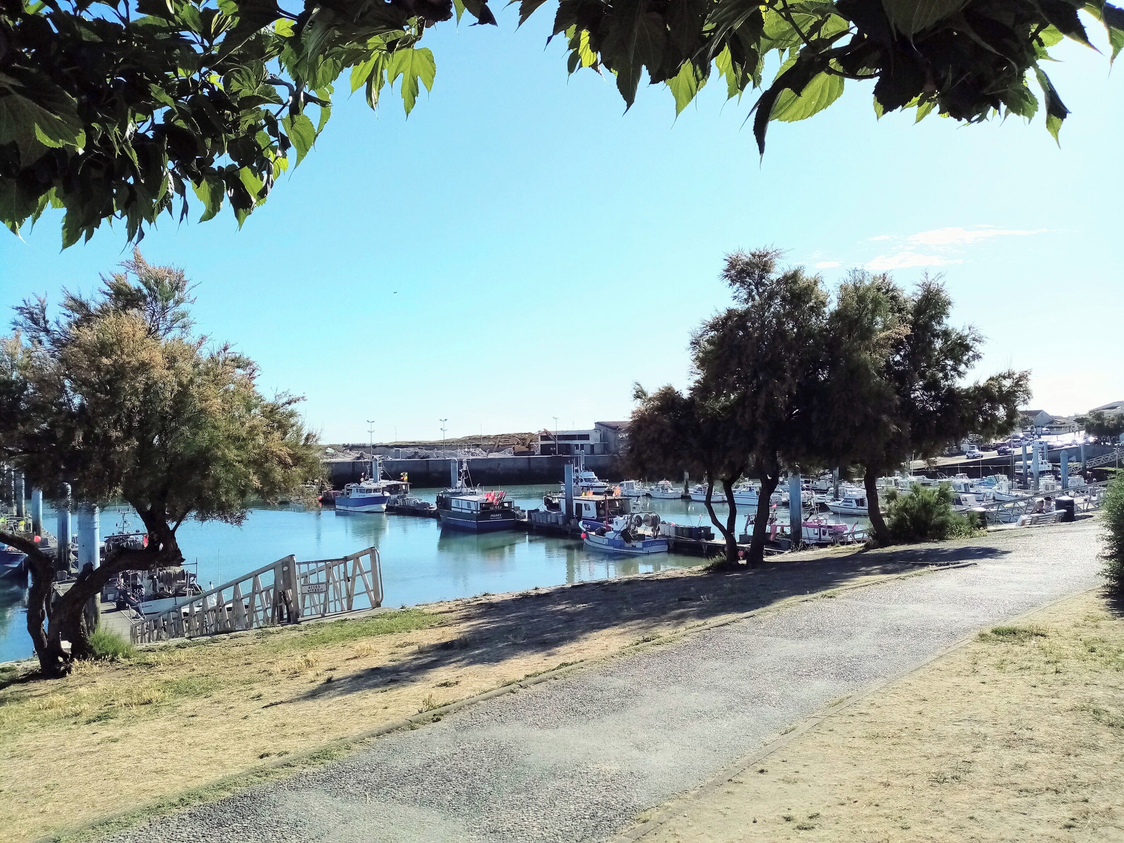 port de la Cotinière, l'été artisan en soirée 