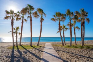 Un sendero de madera que lleva a una playa con palmeras y un cielo azul despejado.