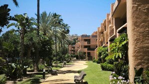 A pathway lined with palm trees and benches, leading to a building with multiple balconies.