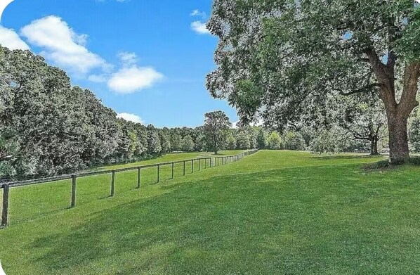 A grassy pathway flanked by trees and a fence.