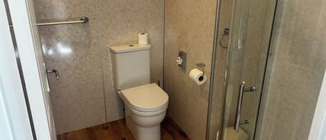 Een kleine, moderne badkamer met toilet, een douchecabine van glas en een houten vloer.
