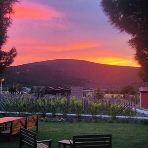 Vista desde la propiedad