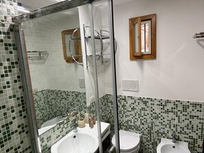 Shower, hair dryer, bidet, towels