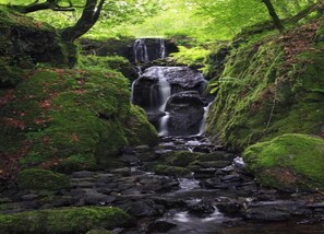 Cottage | View from property