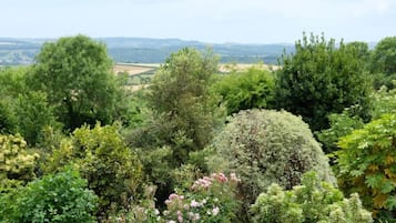 Casa de campo | Vista da propriedade